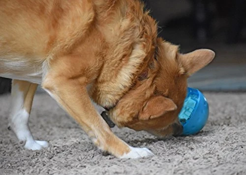 OurPets IQ Treat Ball Interactive Food Dispensing Dog Toy (Colors May Vary)