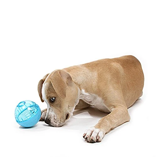 OurPets IQ Treat Ball Interactive Food Dispensing Dog Toy (Colors May Vary)