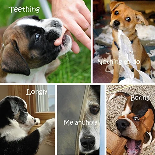 BUIBIIU Juguetes para perro, juguetes para masticar a cachorros, juguetes de dentición, juguetes de cuerda, pelotas