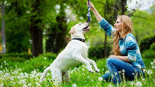 BUIBIIU Juguetes para perro, juguetes para masticar a cachorros, juguetes de dentición, juguetes de cuerda, pelotas