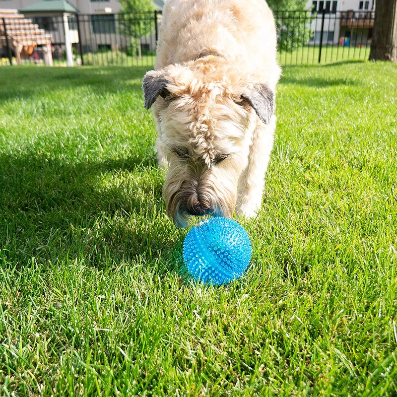 Gnawsome juguete para perro de bola chirriante grande, 4.5" (los colores varían)