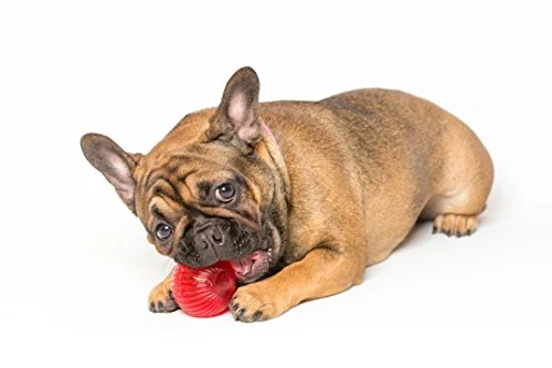 Juguete interactivo para perro Pet Qwerks Blinky Babble Ball, parpadea y habla cuando se toca