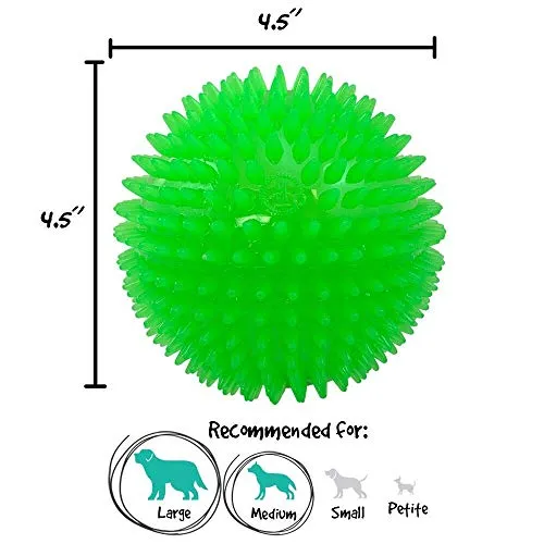 gnawsome Squeek & Light Up Ball Dog Toy, 4.5," extragrande colores variarán