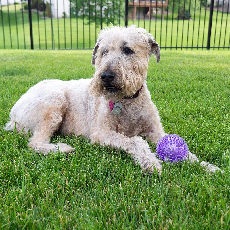 Gnawsome pelota para perro, juguete chillón mediano de 3.5", colores pueden variar.
