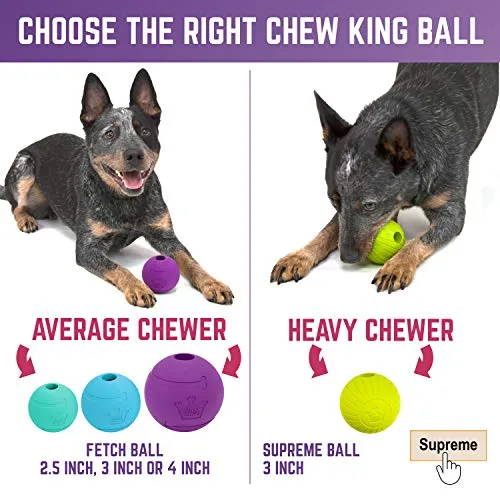 Pelotas de juguete para perros de Chew King, extremadamente duraderas, colección de juguetes Fetch, se adapta a lanzadores de pelotas