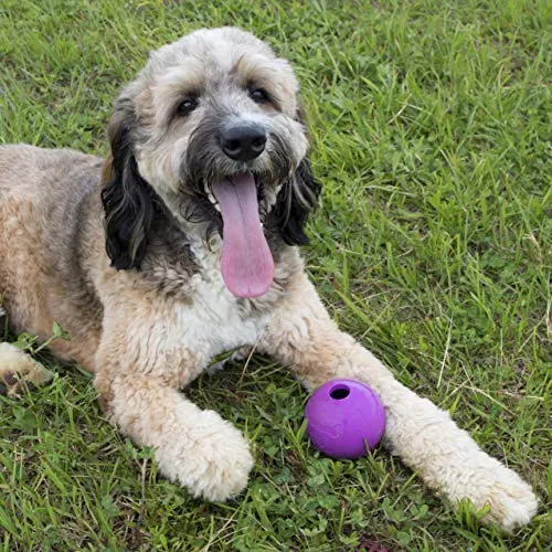 Pelotas de juguete para perros de Chew King, extremadamente duraderas, colección de juguetes Fetch, se adapta a lanzadores de pelotas