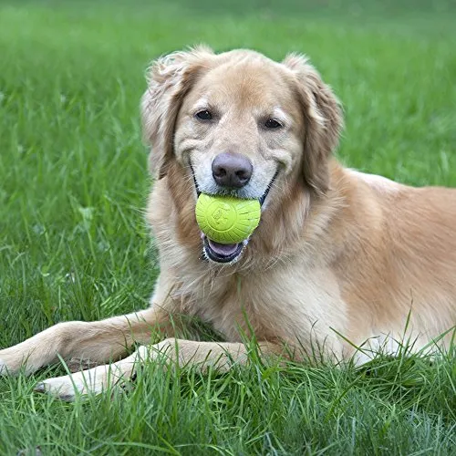 Pelotas de juguete para perros de Chew King, extremadamente duraderas, colección de juguetes Fetch, se adapta a lanzadores de pelotas