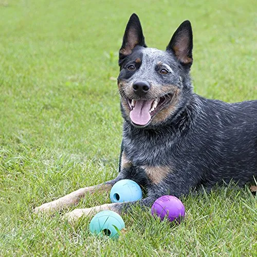 Pelotas de juguete para perros de Chew King, extremadamente duraderas, colección de juguetes Fetch, se adapta a lanzadores de pelotas