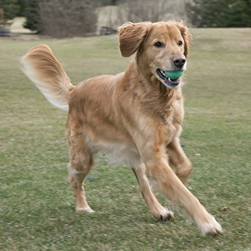 Pelotas de juguete para perros de Chew King, extremadamente duraderas, colección de juguetes Fetch, se adapta a lanzadores de pelotas