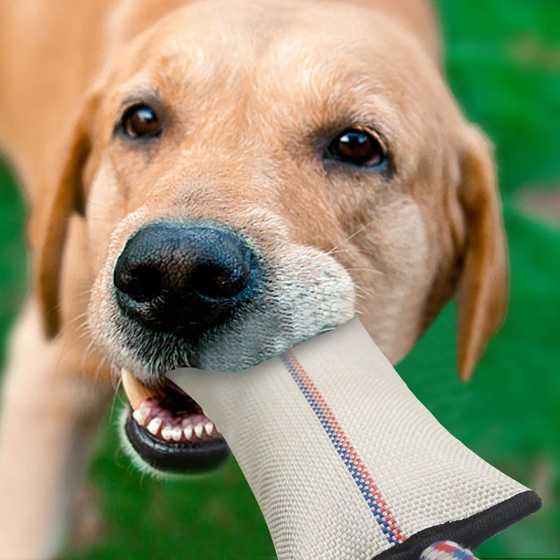 Juguetes para perros duros para masticadores agresivos, juguetes para masticar perros, juguetes para perros con manguera de fuego, juguetes interactivos para perros grandes, juguetes para perros chirriantes con asa de cuerda de algodón fuerte, juguetes pa