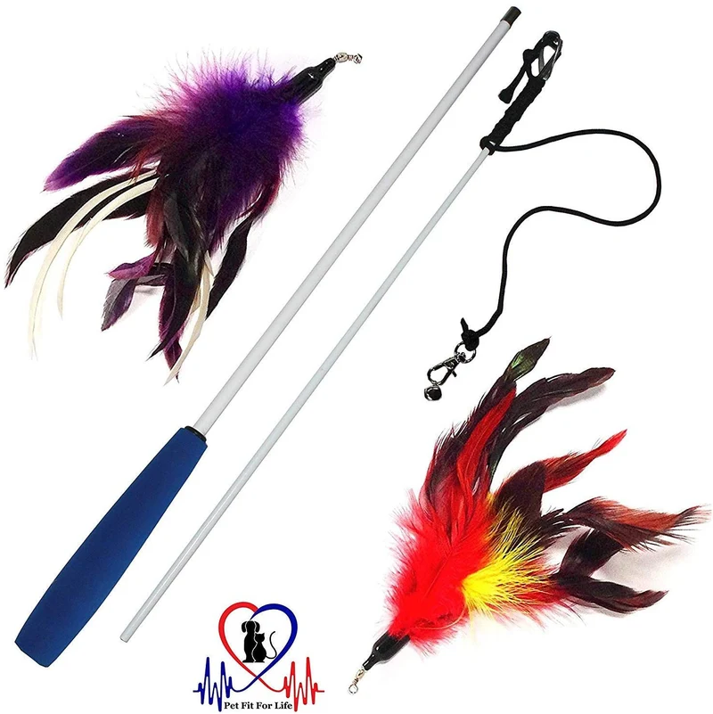 Juguete interactivo para gatos, varita para juegos y ejercicio con señuelo con plumas, de Pet Fit For Life