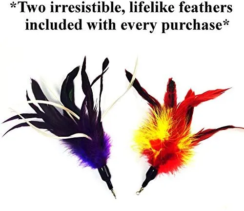 Juguete interactivo para gatos, varita para juegos y ejercicio con señuelo con plumas, de Pet Fit For Life