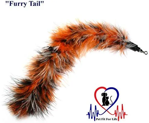 Juguete interactivo para gatos, varita para juegos y ejercicio con señuelo con plumas, de Pet Fit For Life