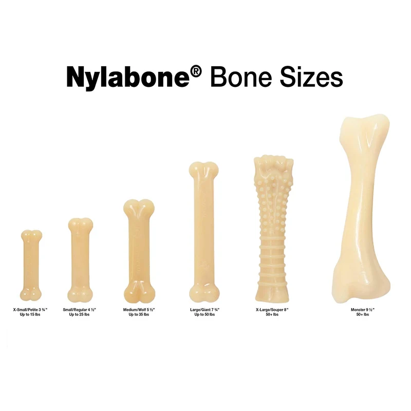 Nylabone Frenzy Regular Triple Pack Chili Queso perro, Buttered Popcorn & Slushy Sabor Masticar Juguetes