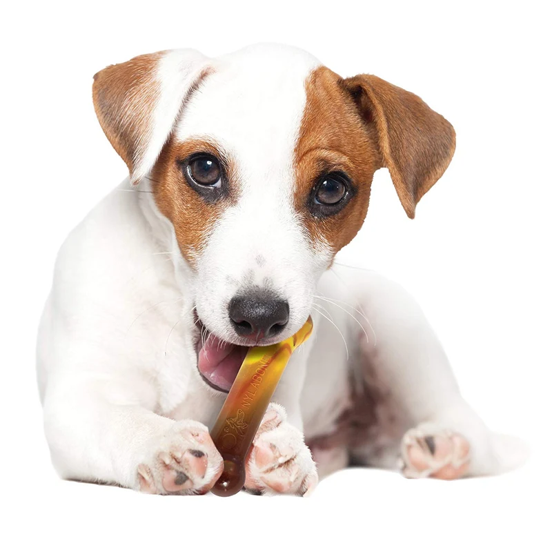 Nylabone Frenzy Regular Triple Pack Chili Queso perro, Buttered Popcorn & Slushy Sabor Masticar Juguetes