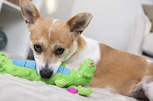 GoDog Skinny Dragons con protector para masticar, juguetes para perros de peluche duraderos con chirriadores