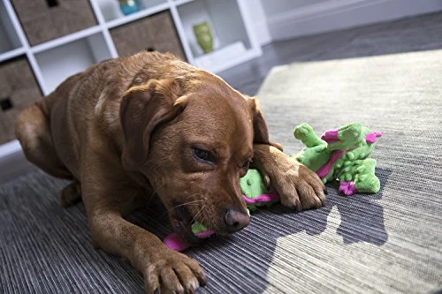 GoDog Skinny Dragons con protector para masticar, juguetes para perros de peluche duraderos con chirriadores