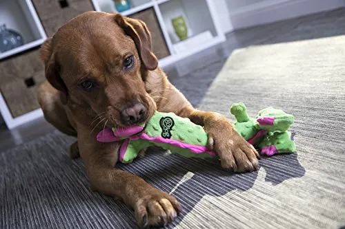 GoDog Skinny Dragons con protector para masticar, juguetes para perros de peluche duraderos con chirriadores