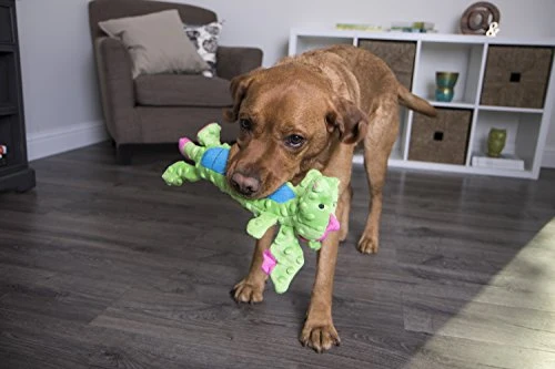 GoDog Skinny Dragons con protector para masticar, juguetes para perros de peluche duraderos con chirriadores