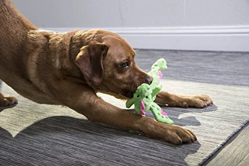 GoDog Skinny Dragons con protector para masticar, juguetes para perros de peluche duraderos con chirriadores
