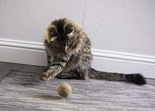 SmartyKat - Juguete para gato