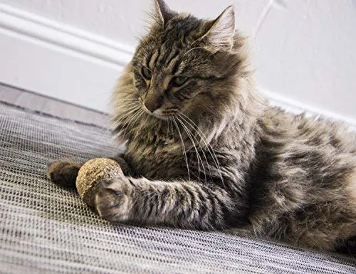 SmartyKat - Juguete para gato