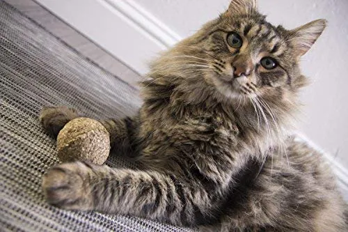 SmartyKat - Juguete para gato