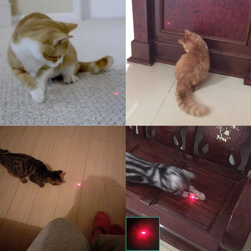 Laifoo USB recargable gato juguetes interactivo LED luz puntero para gatos de la captura de la desgarro entrenamiento
