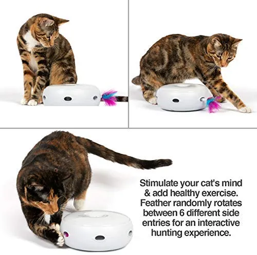 PetFusion Ambush Juguete interactivo para gato con pluma giratoria electrónica. (Modos inteligentes, luz nocturna, pilas incluidas).