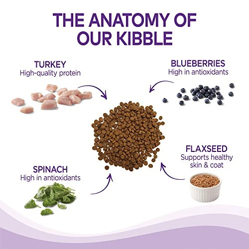 Wellness Complete Health Natural Dry Small Breed Dog Food Small Breed Turkey & Oatmeal