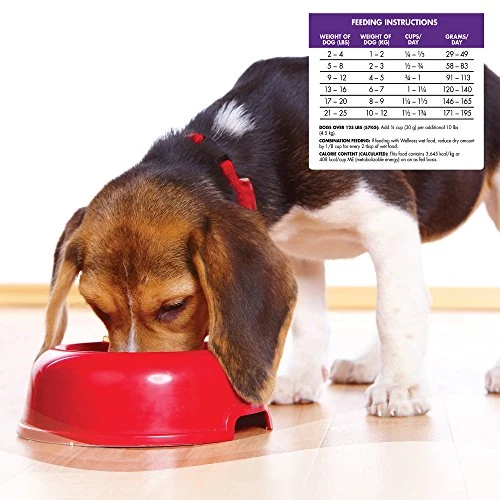 Wellness Complete Health Natural Dry Small Breed Dog Food Small Breed Turkey & Oatmeal