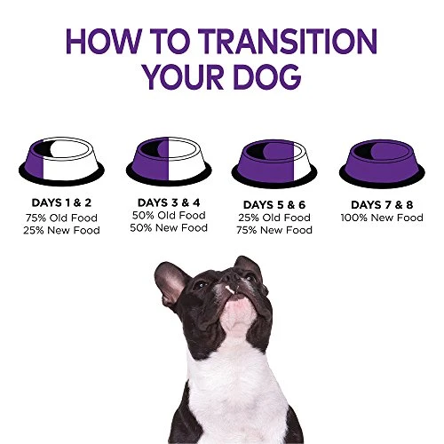 Wellness Complete Health Natural Dry Small Breed Dog Food Small Breed Turkey & Oatmeal