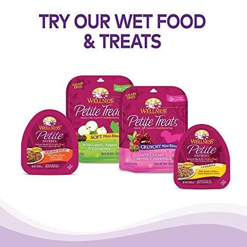 Wellness Complete Health Natural Dry Small Breed Dog Food Small Breed Turkey & Oatmeal