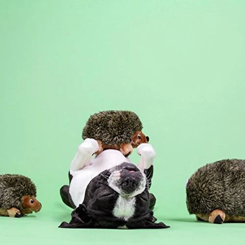 Outward Hound Hedgehogz Squeaky Dog Toy – Interactive Cuddly Soft Toy for Dogs - Tough & Durable Plush Fluffy Toy for Awesome Pets