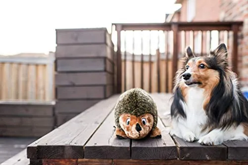 Outward Hound Hedgehogz Squeaky Dog Toy – Interactive Cuddly Soft Toy for Dogs - Tough & Durable Plush Fluffy Toy for Awesome Pets