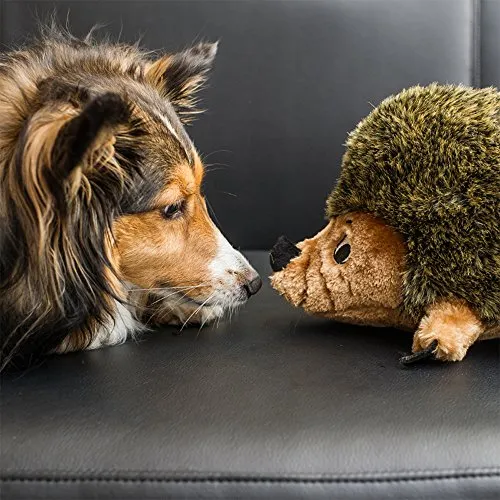 Outward Hound Hedgehogz Squeaky Dog Toy – Interactive Cuddly Soft Toy for Dogs - Tough & Durable Plush Fluffy Toy for Awesome Pets