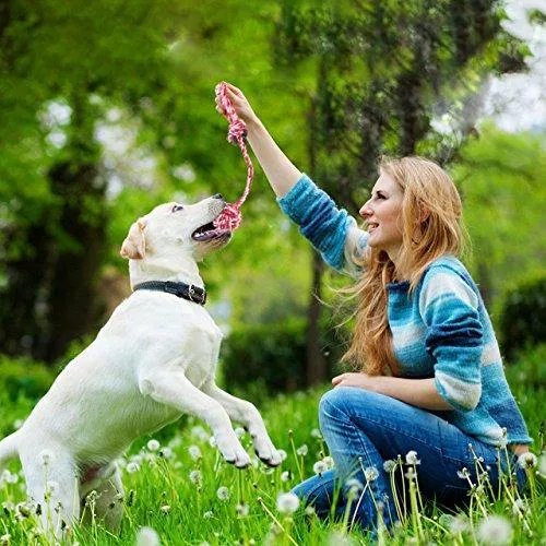 Aipper Juguetes para cachorros de perro, 12 unidades, juguetes para masticar cachorros para jugar y limpiar los dientes, juguetes de chirriar IQ Treat Ball y disco volador de perro incluido, juguetes para morder cachorros para perros medianos a pequeños,