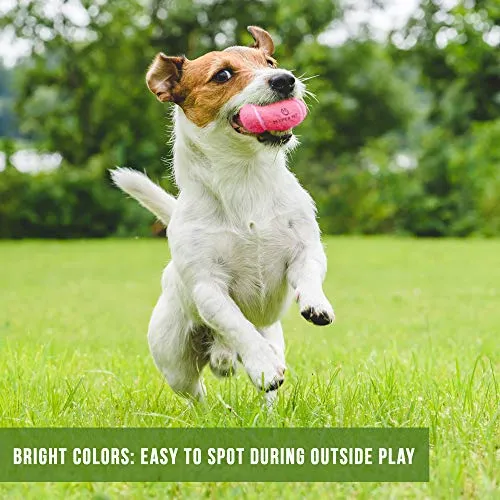 Hyper Pelotas de tenis para perros [Juguetes seguros para perros para ejercicio y entrenamiento] (bolas de tenis para perros de colores brillantes, fácil de localizar)