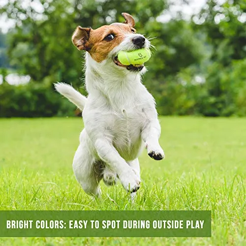 Hyper Pelotas de tenis para perros [Juguetes seguros para perros para ejercicio y entrenamiento] (bolas de tenis para perros de colores brillantes, fácil de localizar)