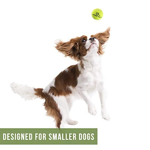 Hyper Pelotas de tenis para perros [Juguetes seguros para perros para ejercicio y entrenamiento] (bolas de tenis para perros de colores brillantes, fácil de localizar)