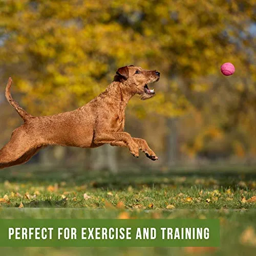 Hyper Pelotas de tenis para perros [Juguetes seguros para perros para ejercicio y entrenamiento] (bolas de tenis para perros de colores brillantes, fácil de localizar)