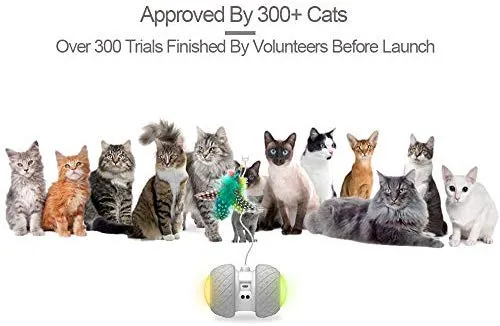 PetDroid Boltz Robotic Juguete interactivo, unido con plumas/pájaros/ratón juguetes para gatos/gatito, batería de gran capacidad/todos los pisos disponibles