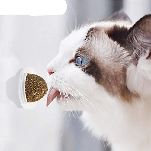 Octlang - Bola adhesiva de pared para gato 100% natural