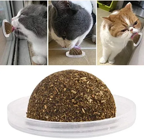Octlang - Bola adhesiva de pared para gato 100% natural