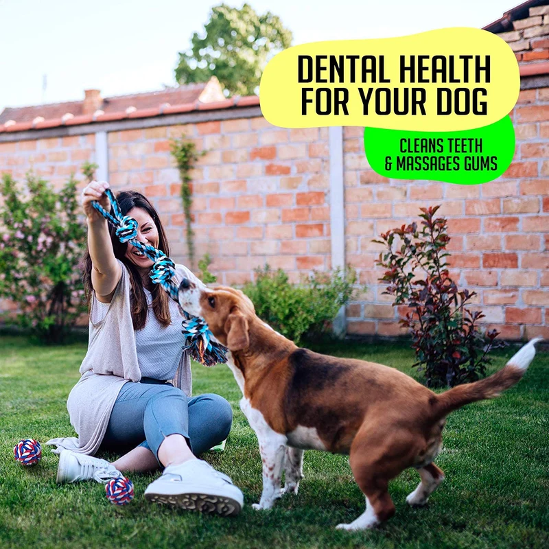 AMZpets Juego de juguetes para perros grandes y masticadores agresivos, 7 cuerdas de algodón casi indestructibles. Juego de juguetes dentales resistentes y duraderos para masticar razas grandes, dientes de cachorro, juego de guerra