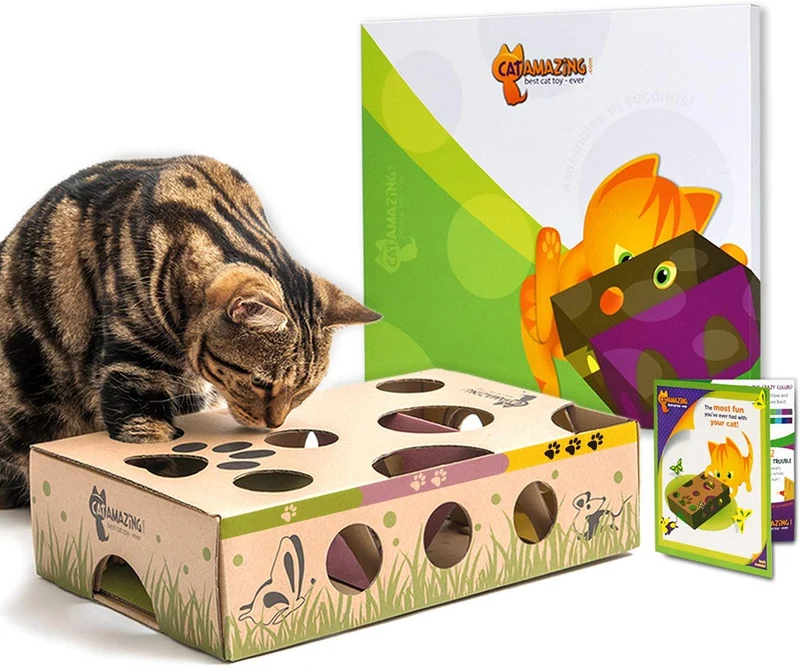 Cat Amazing, el mejor juguete interactivo para gatos Laberinto y caja para gatos, juego para gatos