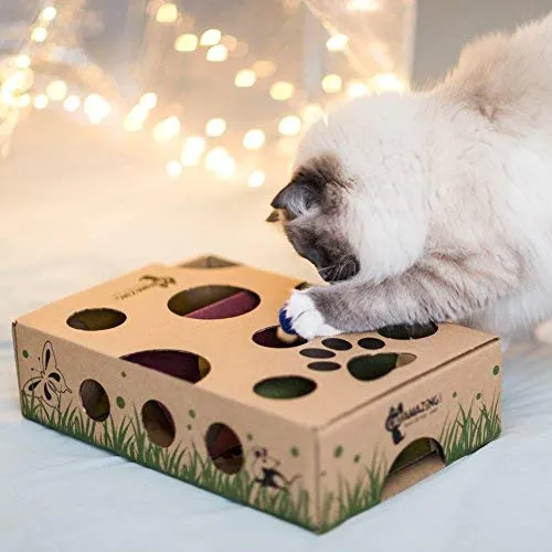 Cat Amazing, el mejor juguete interactivo para gatos Laberinto y caja para gatos, juego para gatos