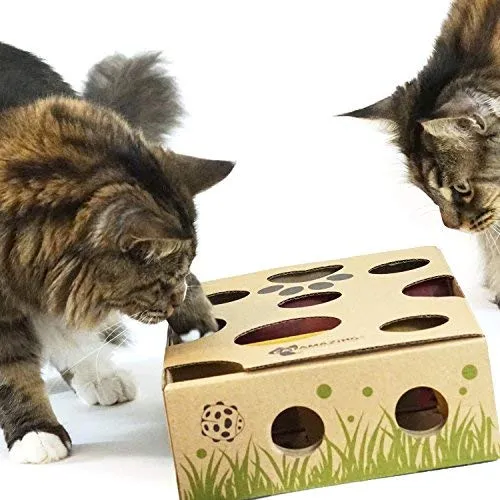 Cat Amazing, el mejor juguete interactivo para gatos Laberinto y caja para gatos, juego para gatos