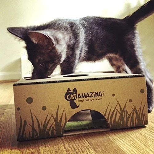 Cat Amazing, el mejor juguete interactivo para gatos Laberinto y caja para gatos, juego para gatos