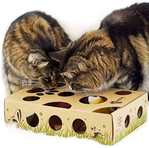 Cat Amazing, el mejor juguete interactivo para gatos Laberinto y caja para gatos, juego para gatos